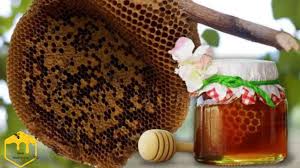 Oak Honey 500 Grams